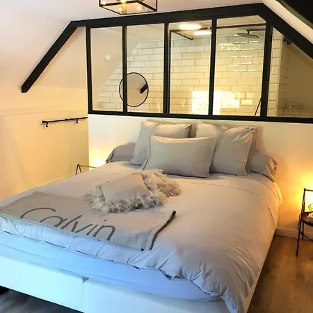 Jardin Du Marais 3* Froyennes