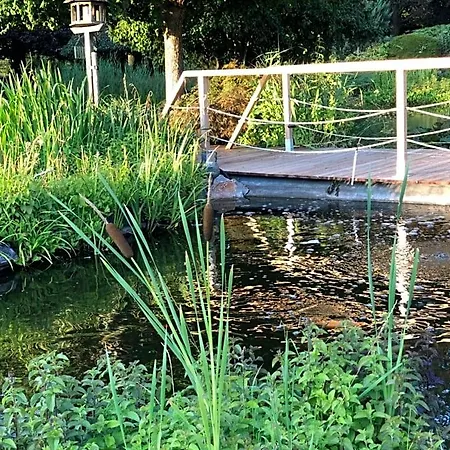 Jardin Du Marais